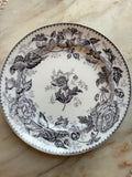 1865 Wedgwood Pearlware "Horticultural" Plate