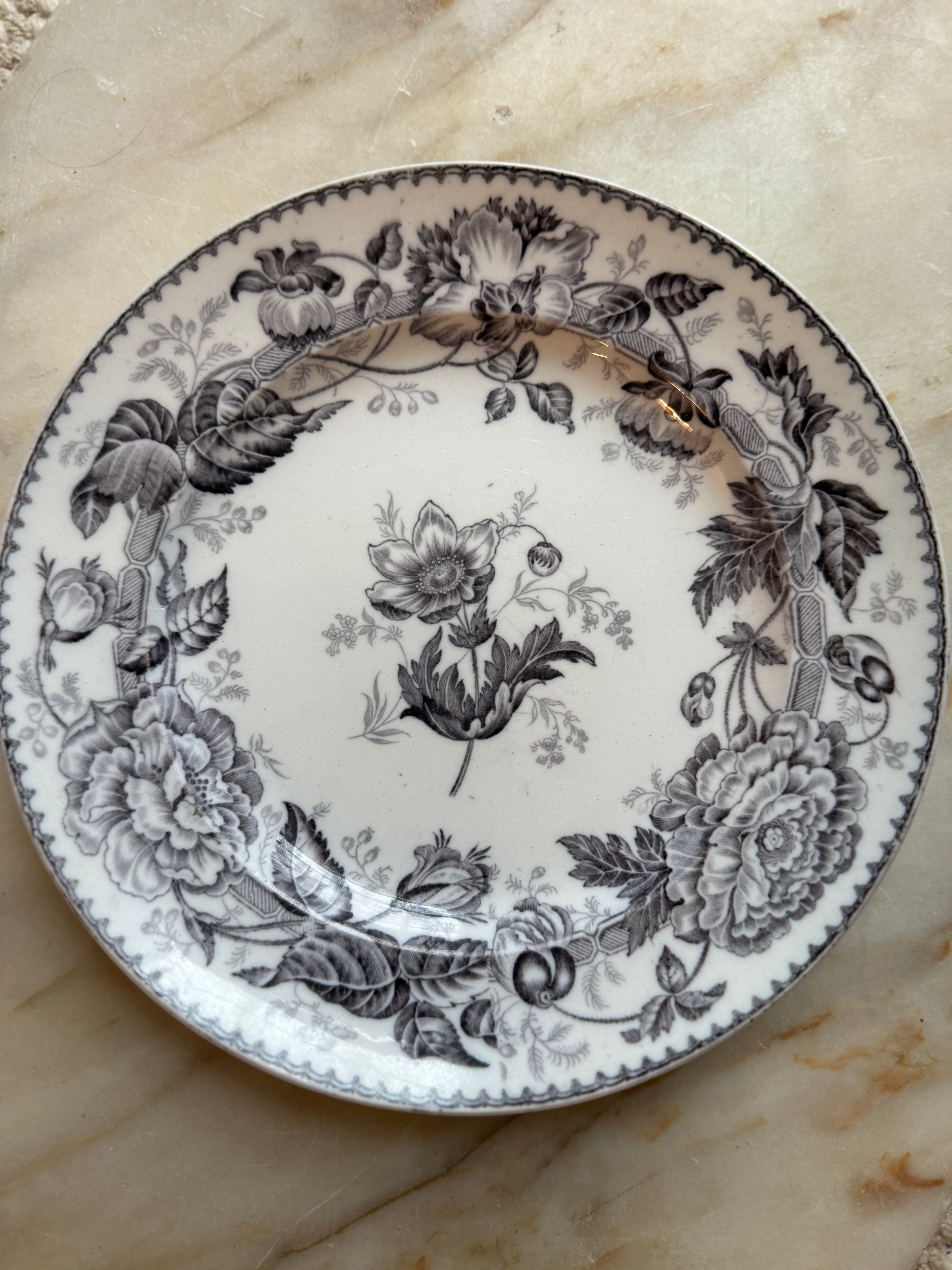 1865 Wedgwood Pearlware "Horticultural" Plate